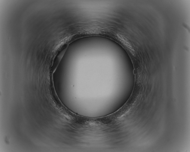 X0000094970681200712131455