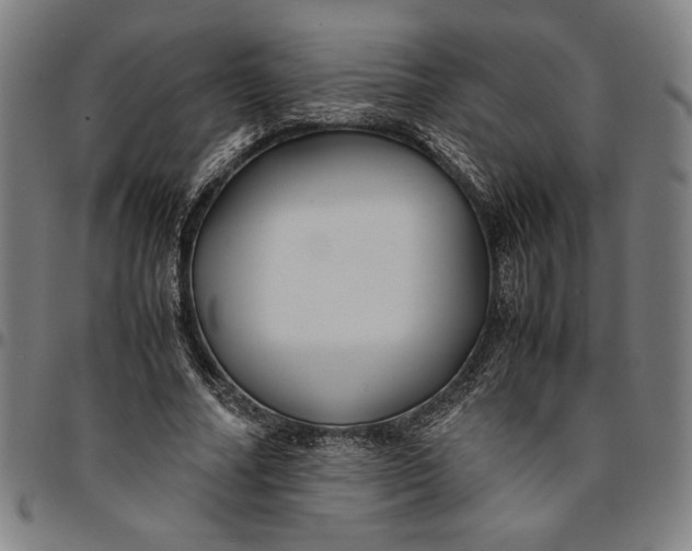 X0000094970682200712131455