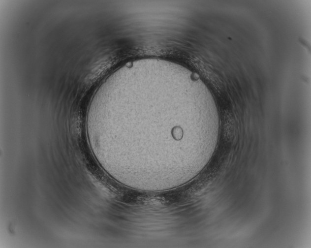 X0000094970683200712131455