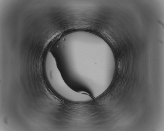 X0000094970684200712131455