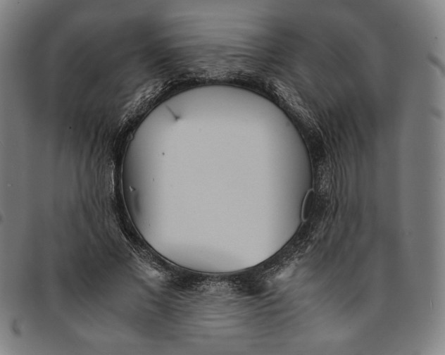 X0000094970685200712131455