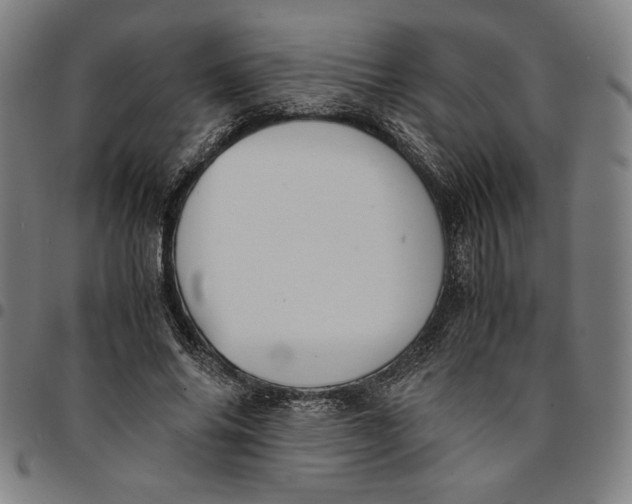 X0000094970686200712131455