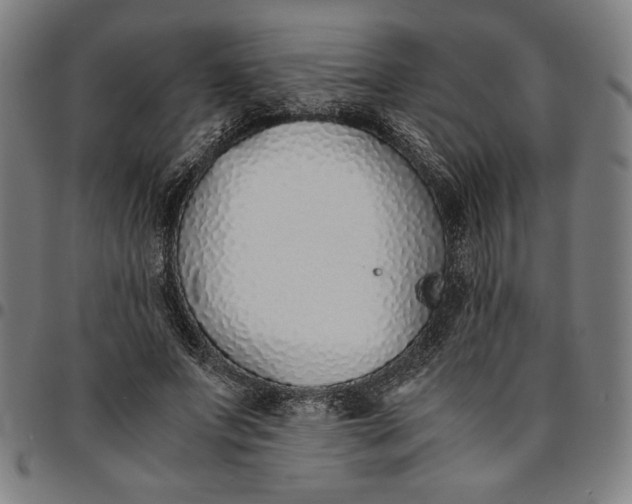 X0000094970687200712131455