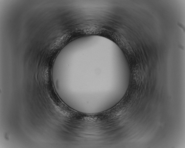 X0000094970690200712131455