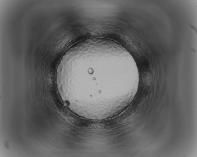 X0000094970691200712131455