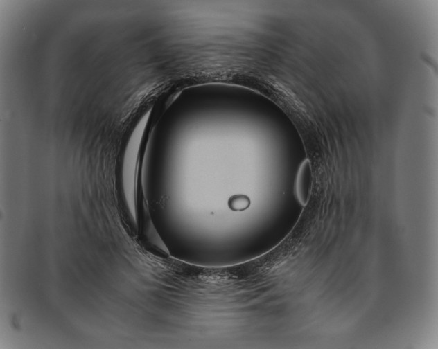 X0000094970693200712131455