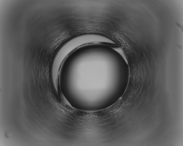 X0000094970696200712131455