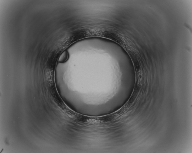 X0000094970699200712131455