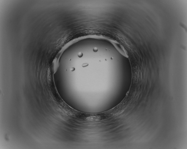 X0000094970700200712131455