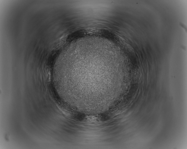 X0000094970703200712131455