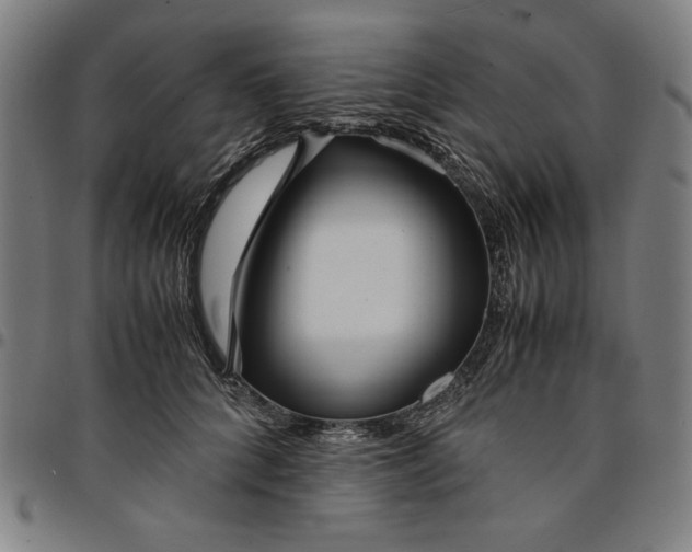 X0000094970704200712131455