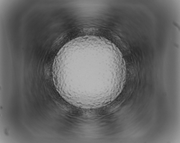 X0000094970705200712131455