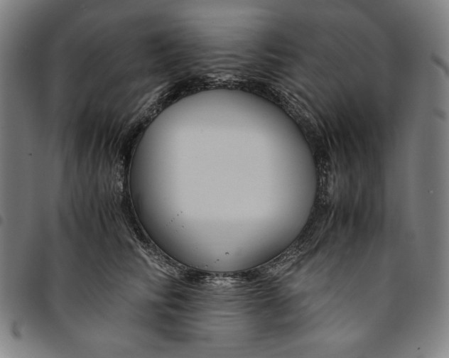 X0000094970710200712131455