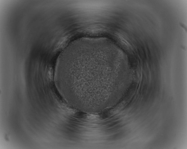 X0000094970718200712131455