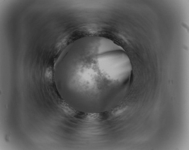 X0000094970720200712131455