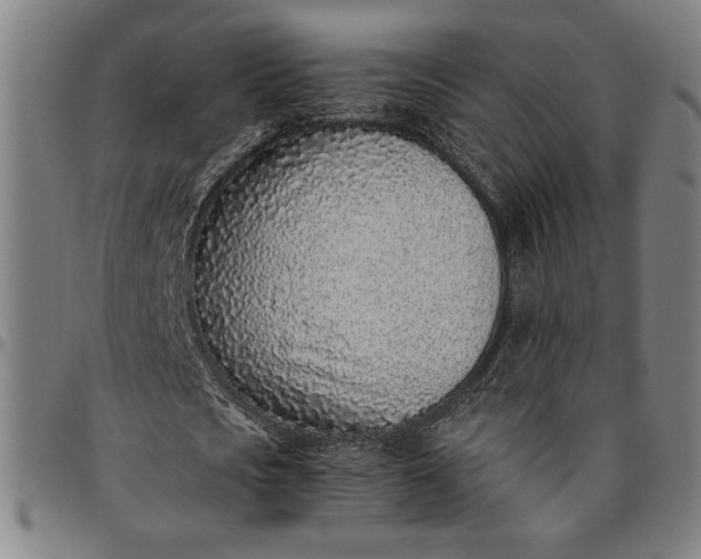 X0000094970721200712131454