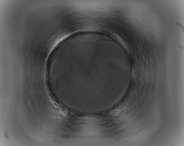 X0000094970724200712131454