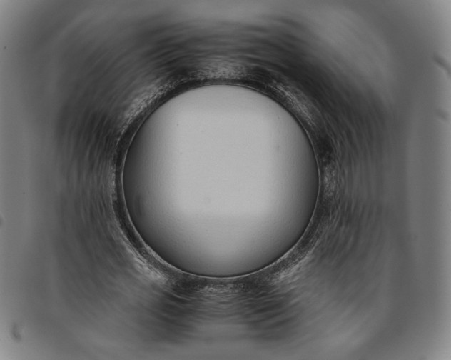 X0000094970725200712131454