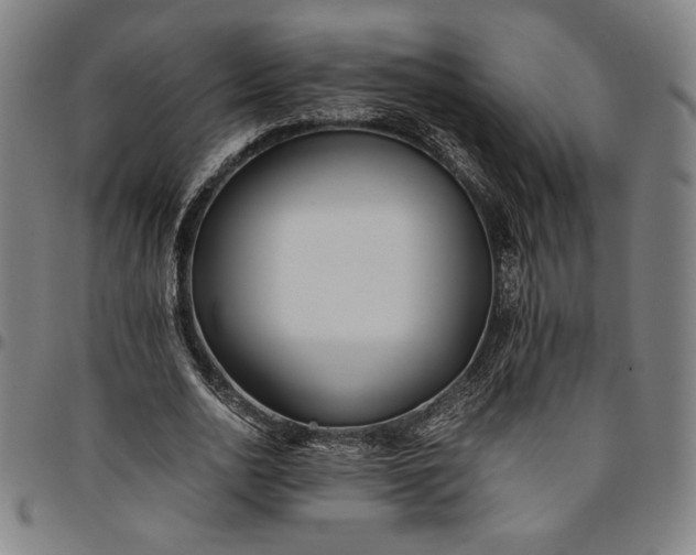 X0000094970726200712131454