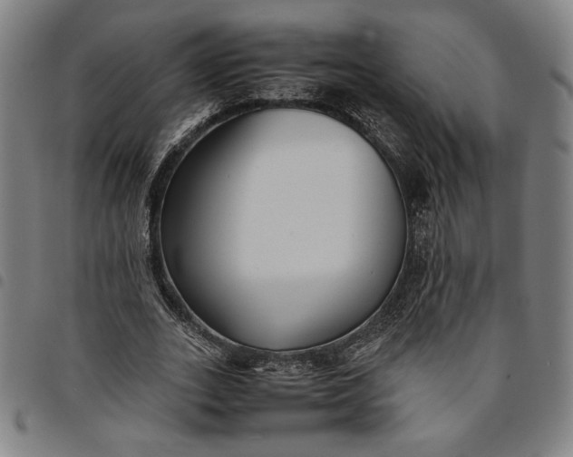 X0000094970727200712131454