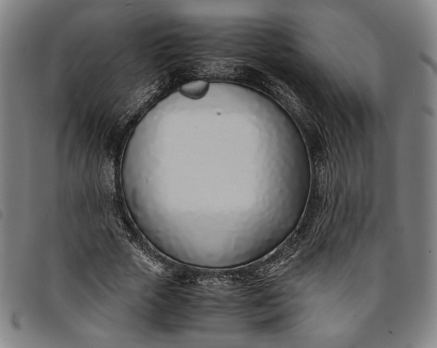 X0000094970729200712131454