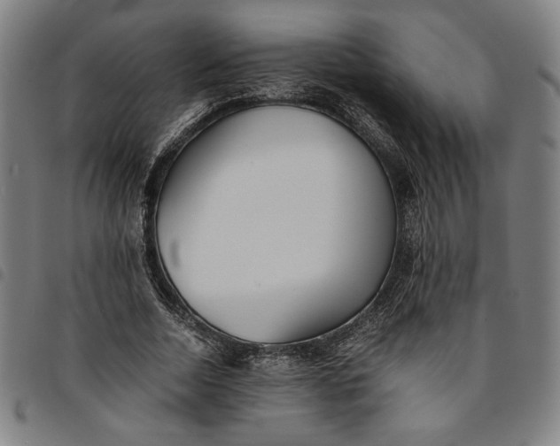 X0000094970730200712131454