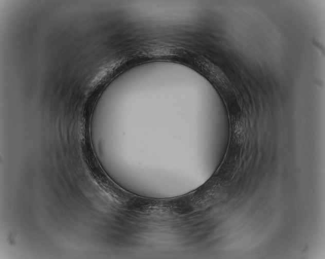 X0000094970732200712131454