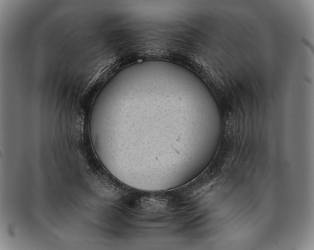 X0000094970739200712131454