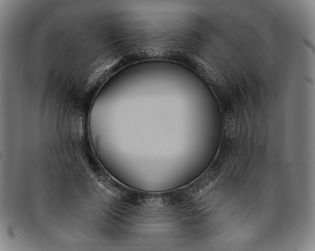 X0000094970740200712131454