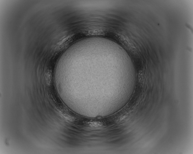 X0000094970741200712131454