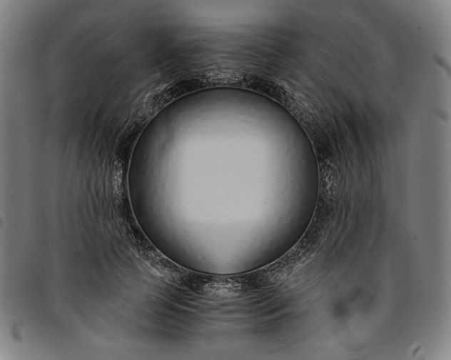 X0000094970745200712131454