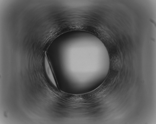 X0000094970747200712131454