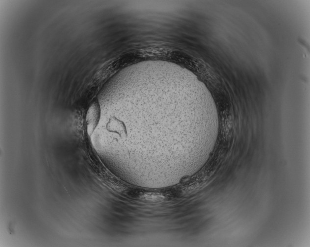 X0000094970749200712131454