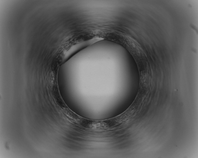 X0000094970752200712131454