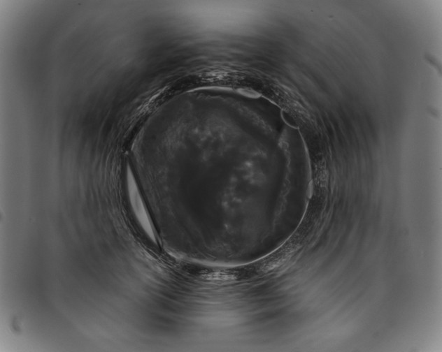 X0000094970754200712131454