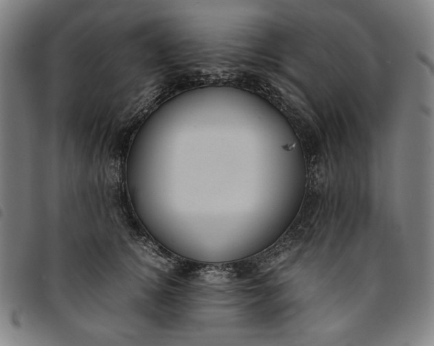 X0000094970756200712131455