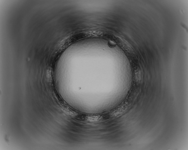 X0000094970757200712131455