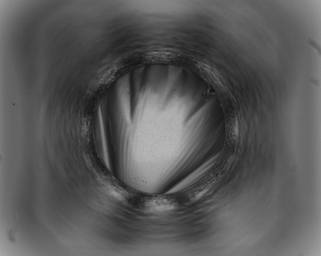 X0000094970759200712131455