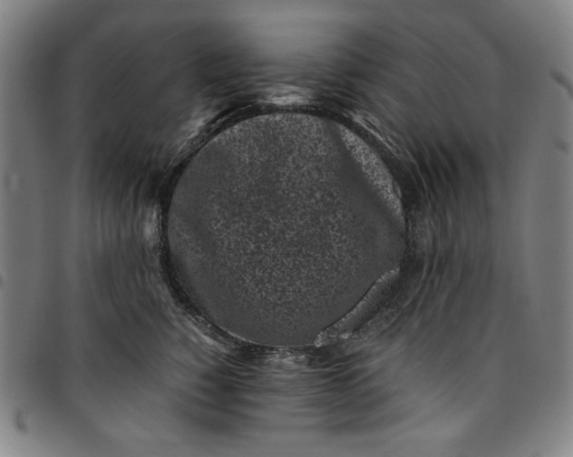 X0000094970760200712131455