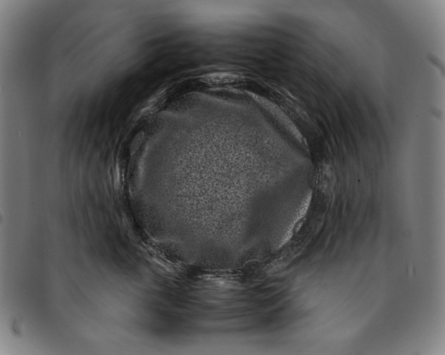 X0000094970763200712131455