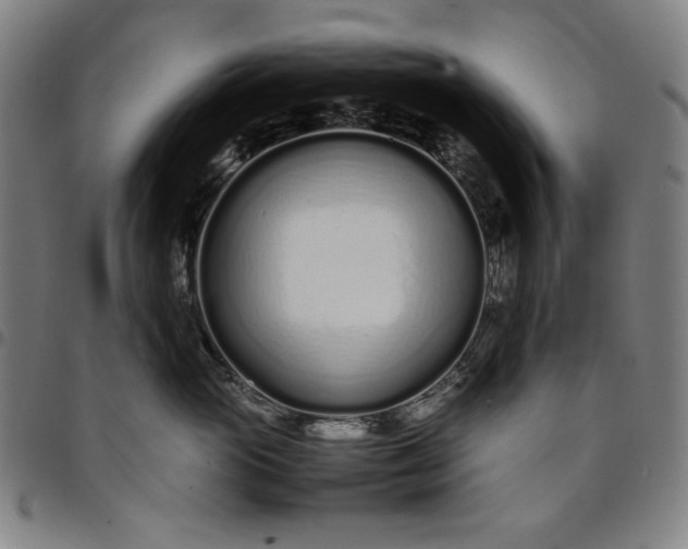 X0000094970765200712131455