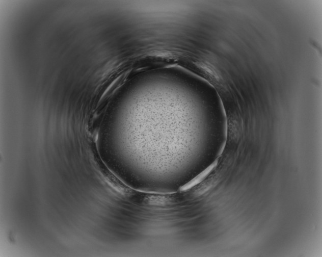 X0000094970766200712131455