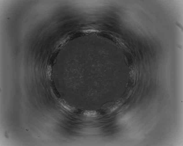 X0000094970767200712131455