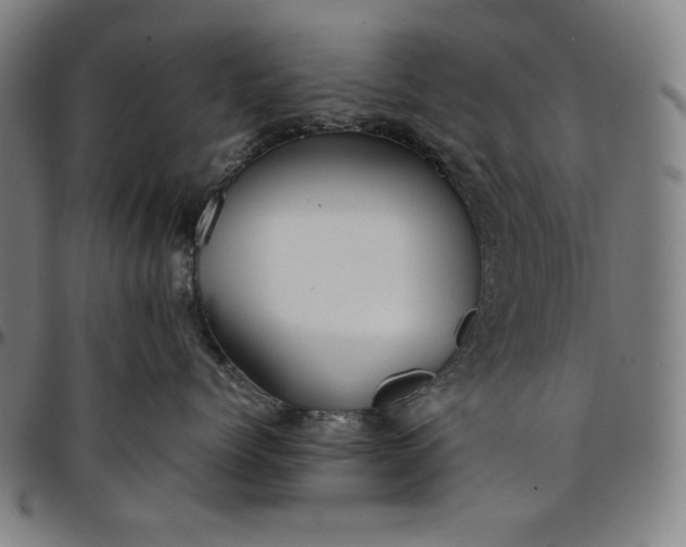 X0000094970768200712131455