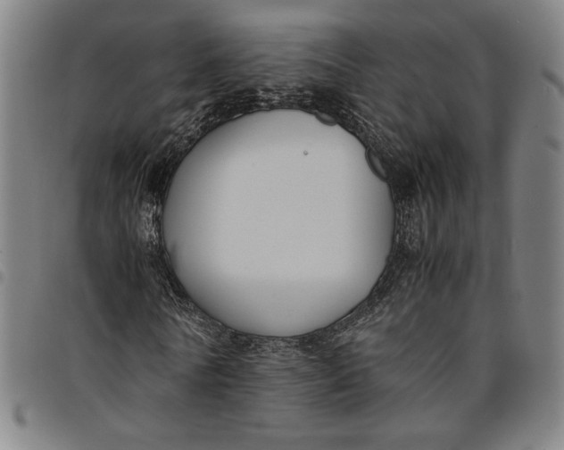 X0000094970770200712131454