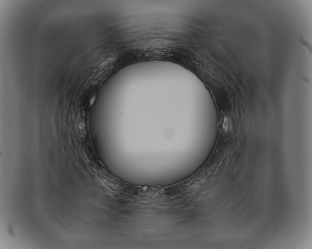 X0000094970771200712131454