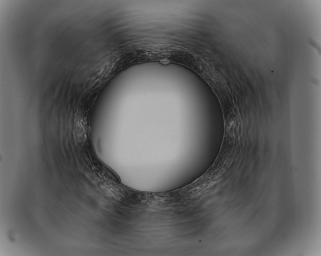 X0000094970772200712131454