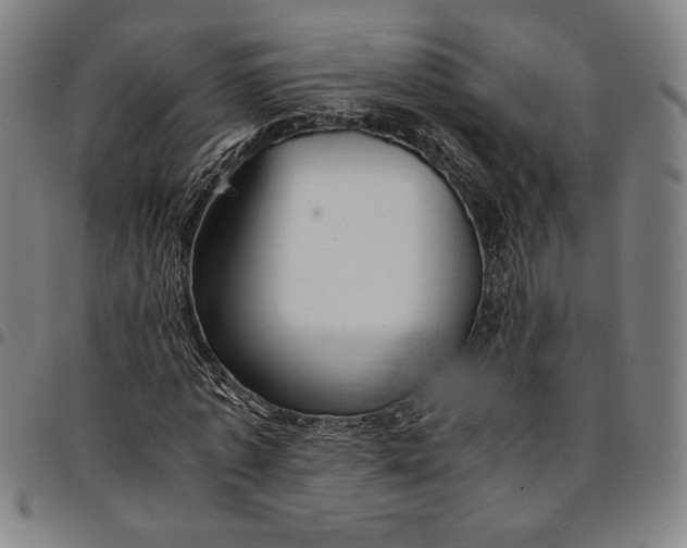 X0000094970773200712131454