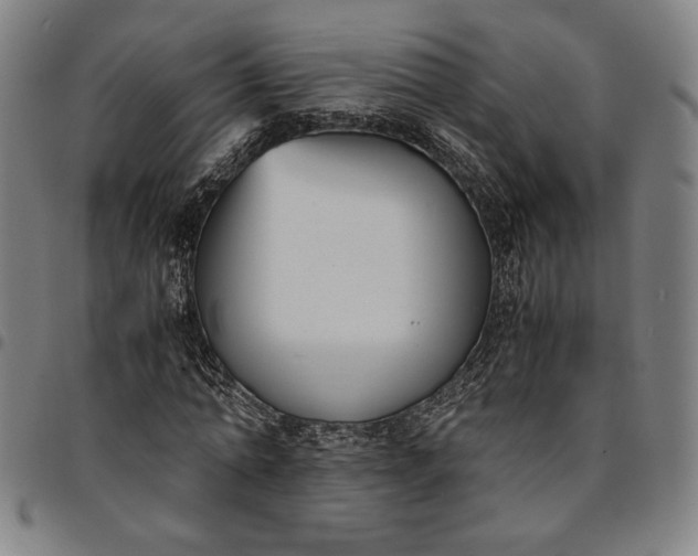 X0000094970774200712131454