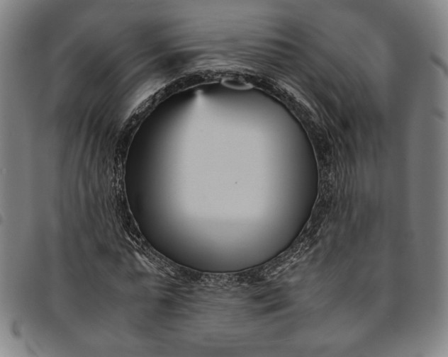 X0000094970775200712131454